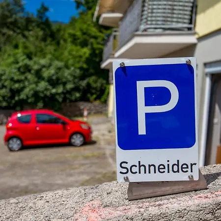 Rona Spacious With A Panoramic View Apartment Icici